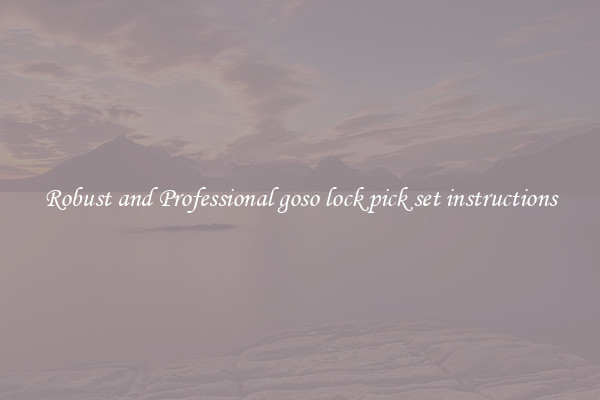 Robust and Professional goso lock pick set instructions