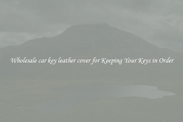 Wholesale car key leather cover for Keeping Your Keys in Order