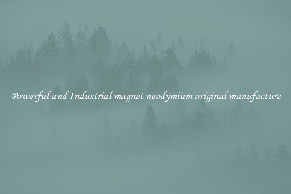 Powerful and Industrial magnet neodymium original manufacture