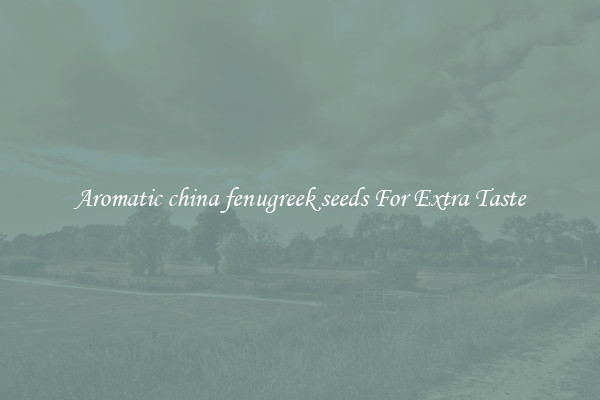 Aromatic china fenugreek seeds For Extra Taste