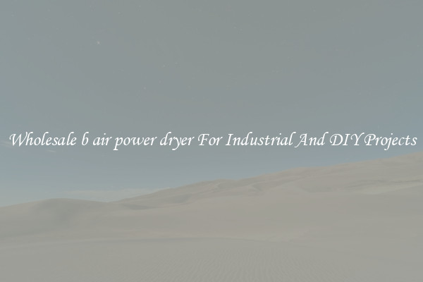 Wholesale b air power dryer For Industrial And DIY Projects