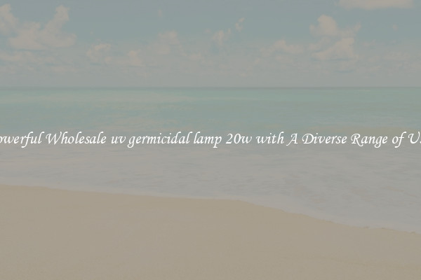 Powerful Wholesale uv germicidal lamp 20w with A Diverse Range of Uses