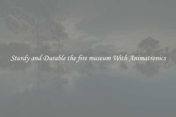 Sturdy and Durable the fire museum With Animatronics