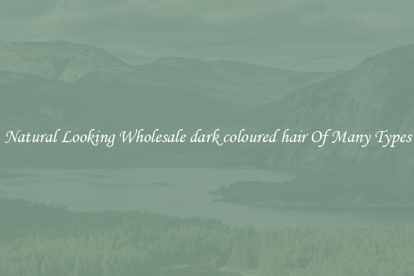 Natural Looking Wholesale dark coloured hair Of Many Types