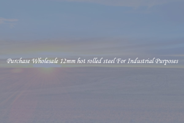 Purchase Wholesale 12mm hot rolled steel For Industrial Purposes
