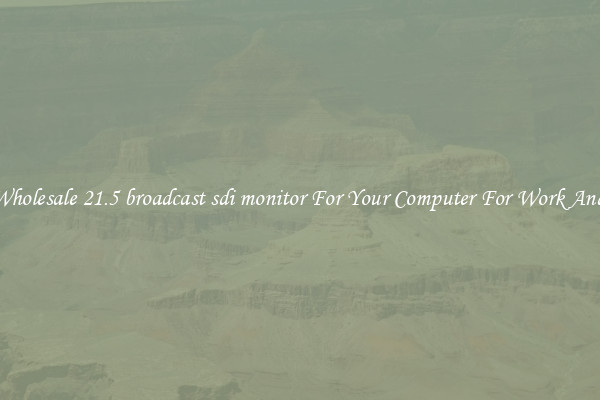 Crisp Wholesale 21.5 broadcast sdi monitor For Your Computer For Work And Home