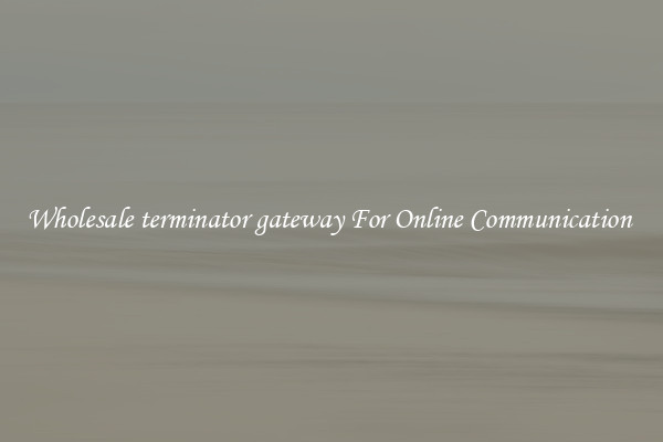 Wholesale terminator gateway For Online Communication 