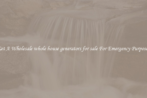 Get A Wholesale whole house generators for sale For Emergency Purposes