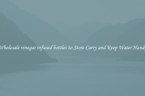 Wholesale vinegar infused bottles to Store Carry and Keep Water Handy