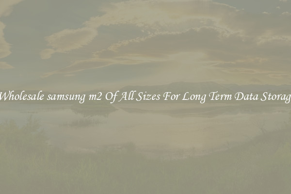 Wholesale samsung m2 Of All Sizes For Long Term Data Storage