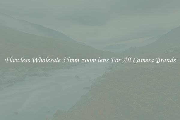 Flawless Wholesale 55mm zoom lens For All Camera Brands