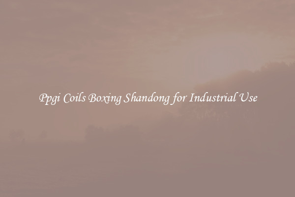 Ppgi Coils Boxing Shandong for Industrial Use