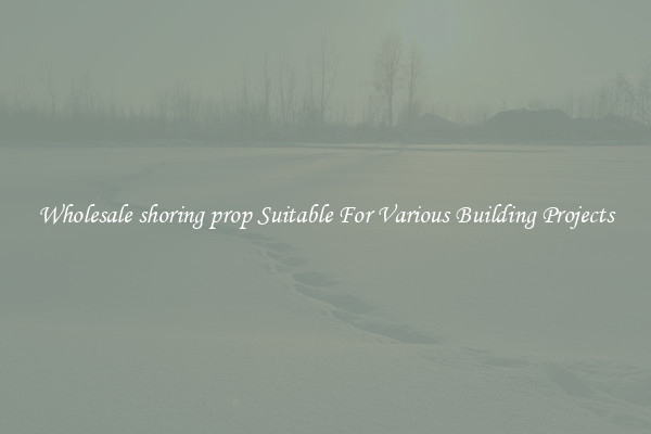 Wholesale shoring prop Suitable For Various Building Projects
