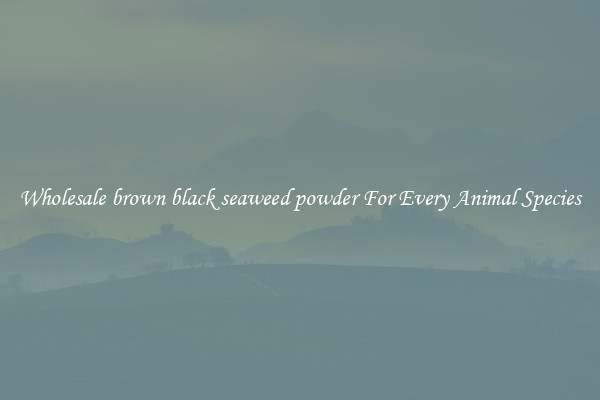 Wholesale brown black seaweed powder For Every Animal Species