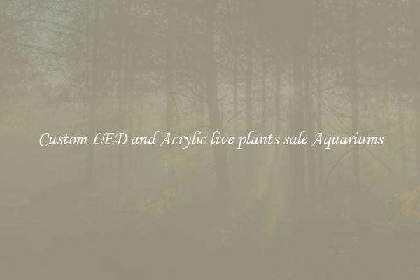 Custom LED and Acrylic live plants sale Aquariums