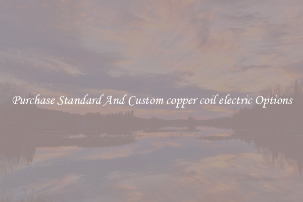 Purchase Standard And Custom copper coil electric Options