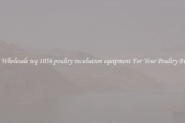 Get A Wholesale wq 1056 poultry incubation equipment For Your Poultry Business