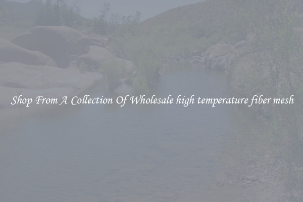 Shop From A Collection Of Wholesale high temperature fiber mesh