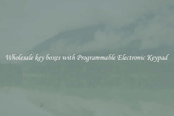 Wholesale key boxes with Programmable Electronic Keypad 