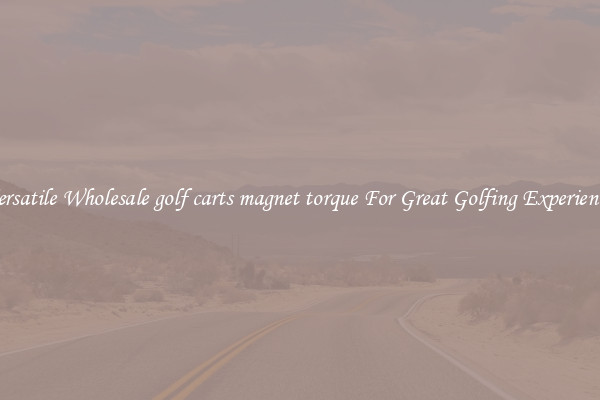 Versatile Wholesale golf carts magnet torque For Great Golfing Experience 