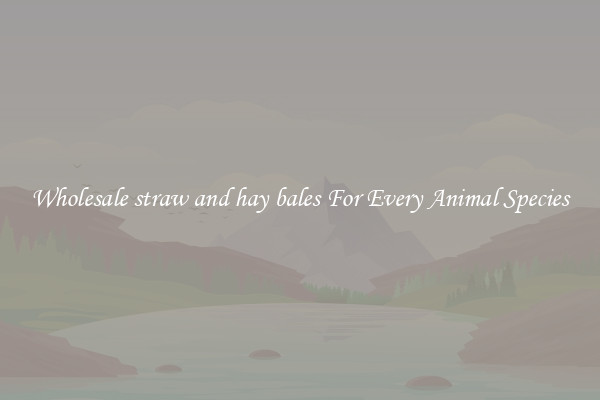 Wholesale straw and hay bales For Every Animal Species