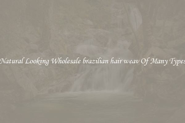 Natural Looking Wholesale brazilian hair weav Of Many Types