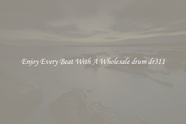 Enjoy Every Beat With A Wholesale drum dr311