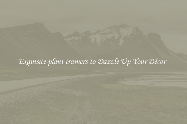 Exquisite plant trainers to Dazzle Up Your Décor  