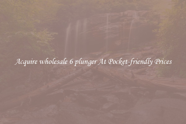 Acquire wholesale 6 plunger At Pocket-friendly Prices